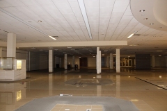 AC_009