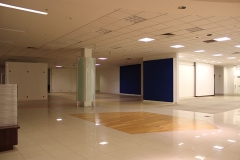 AC_036