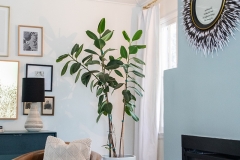 Charming-Cottage-Image-041