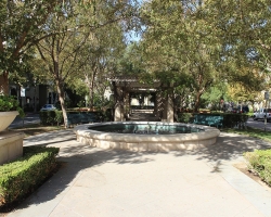 TCD_04