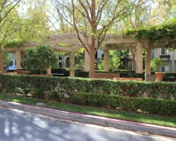 TCD_08