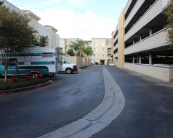 TCD_49