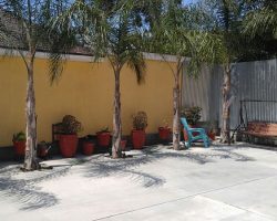 Yard_011