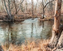 IMG_046