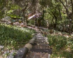 treehouse_0076