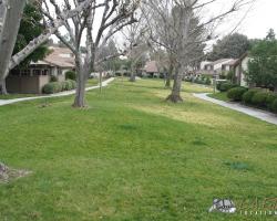 Exterior (48)