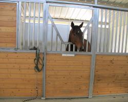 stables_0012