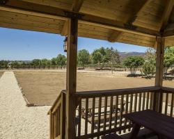 gazebo-petting-zoo_0013