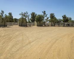 gazebo-petting-zoo_0016