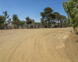 gazebo-petting-zoo_0017