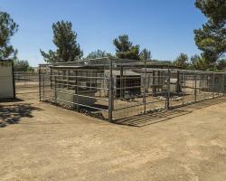 gazebo-petting-zoo_0018