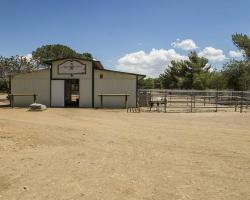 gazebo-petting-zoo_0025