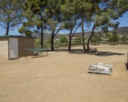 gazebo-petting-zoo_0027