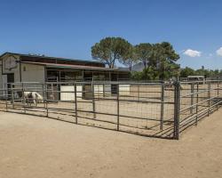 gazebo-petting-zoo_0029