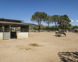 gazebo-petting-zoo_0030