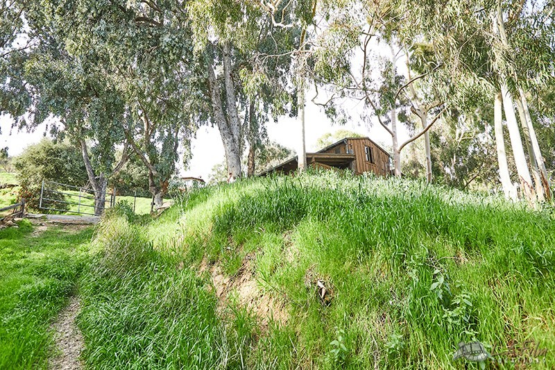 The Barn