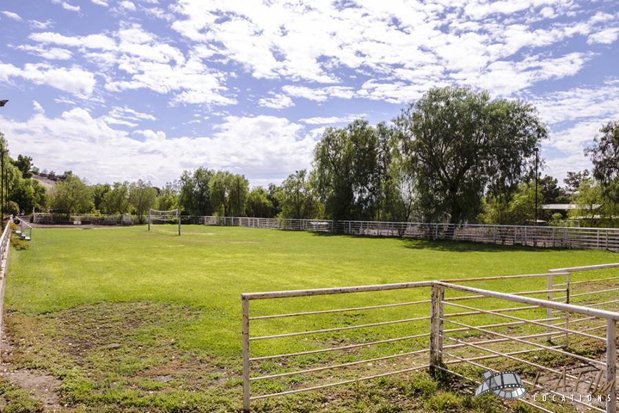 Murphy House Grass Field