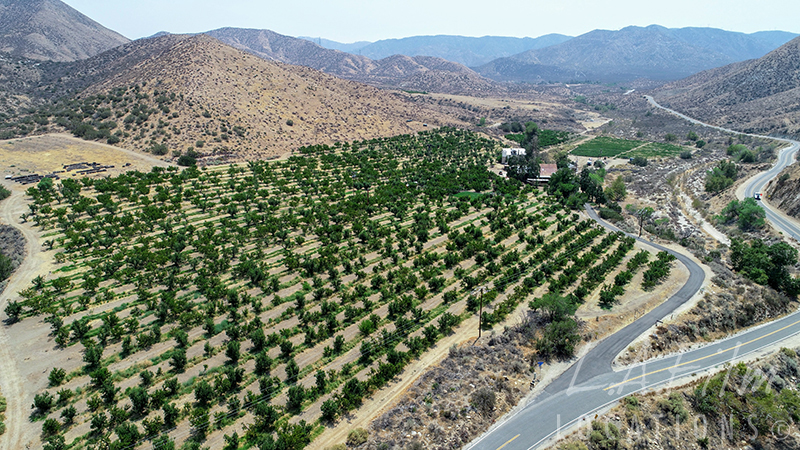 Bloom Ranch Exterior