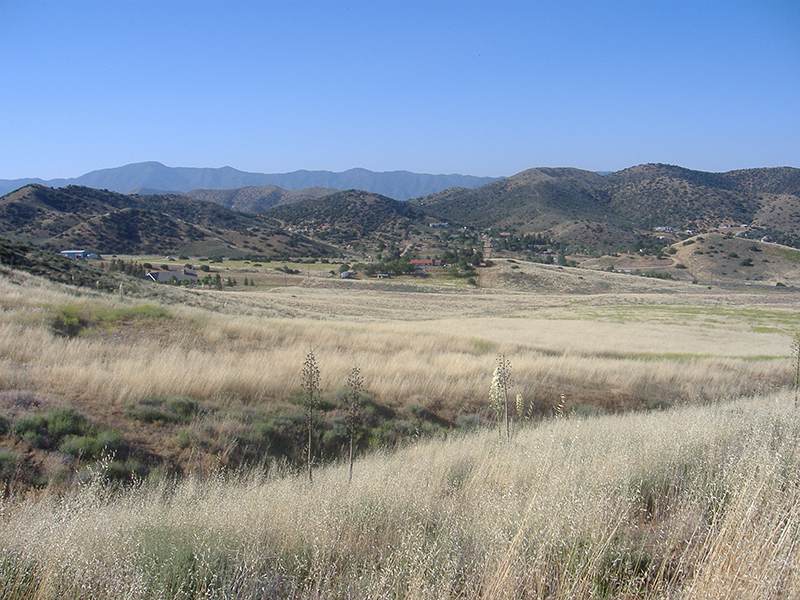 Agua Dulce Mountain Ranch