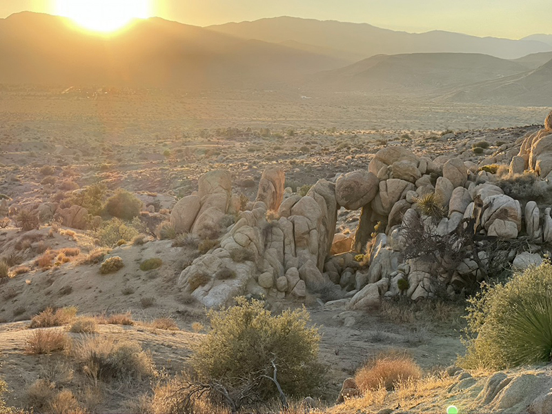 Pioneertown Desert