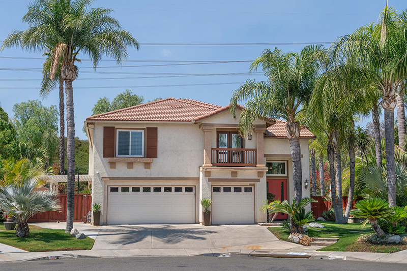 Mediterranean Palm Tree House