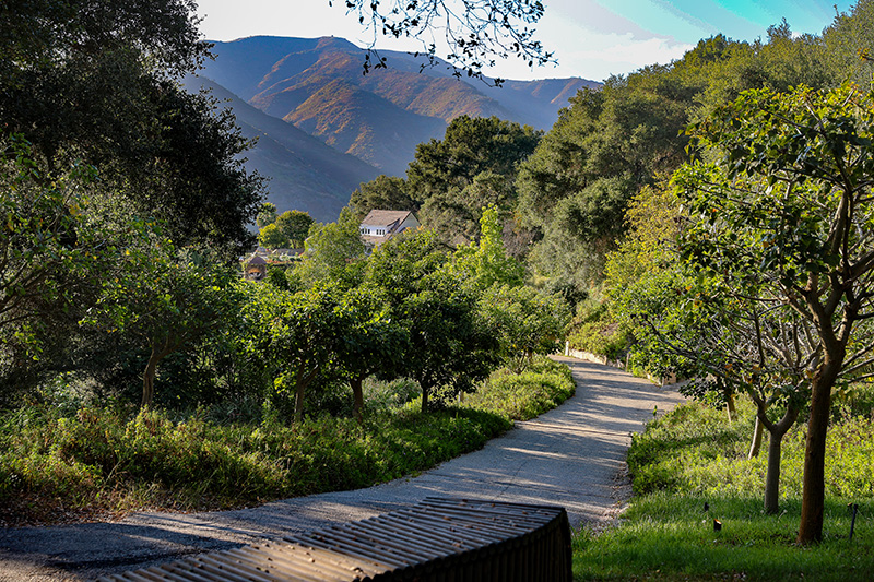 Lakefront Estate – Entrance and Natural Landscape