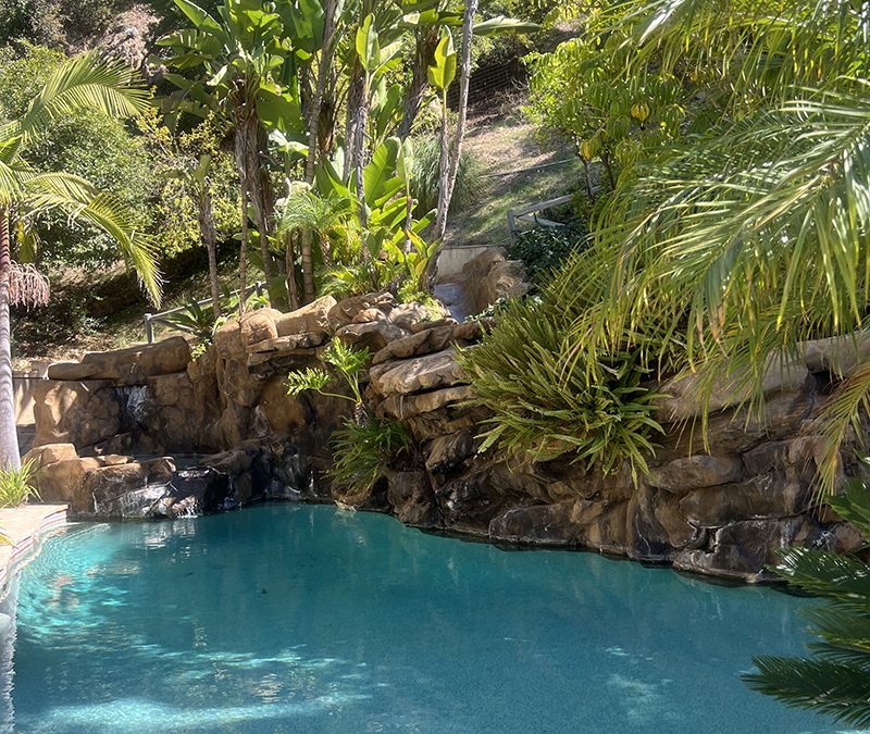 Tropical Pool